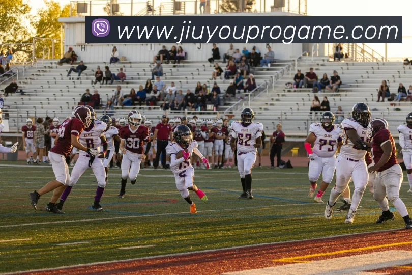 App Interface Preview